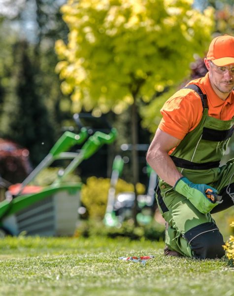lp-ban-landscaping-business lp-ban-landscaping-business